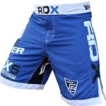 Top 10 Best MMA Shorts For Training - Fitness Fghters