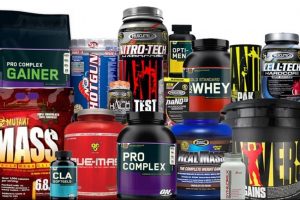 Best whey protein for MMA fighters