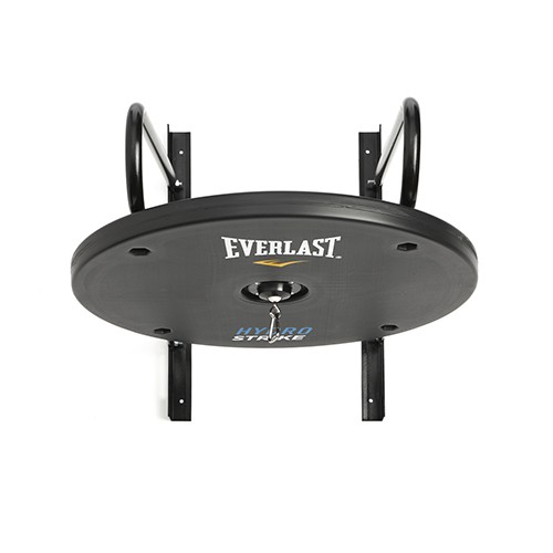 everlast hydrostrike speed bag platform