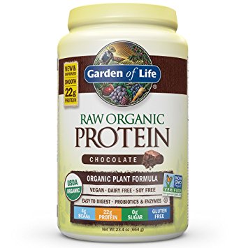 best organic vegan protein powder