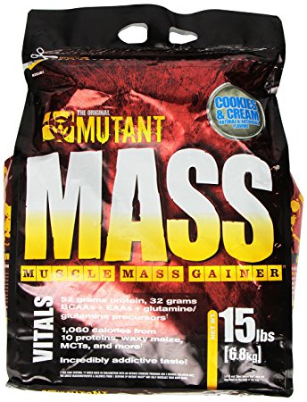 best mass gainer supplements