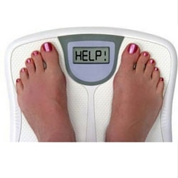 vibration plates and weight loss