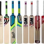 best cricket bats