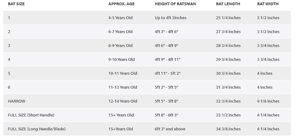 Top 10 Best Cricket Bats in 2022 - Reviews, Comparisons & Buyers Guide