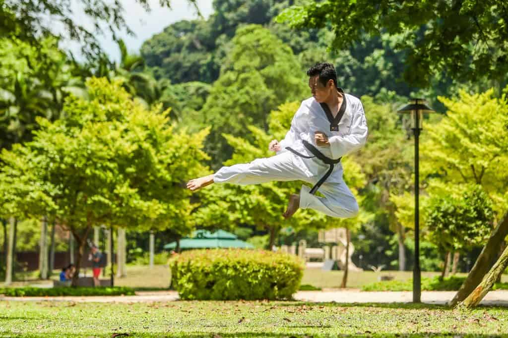 martial arts benefits for the body