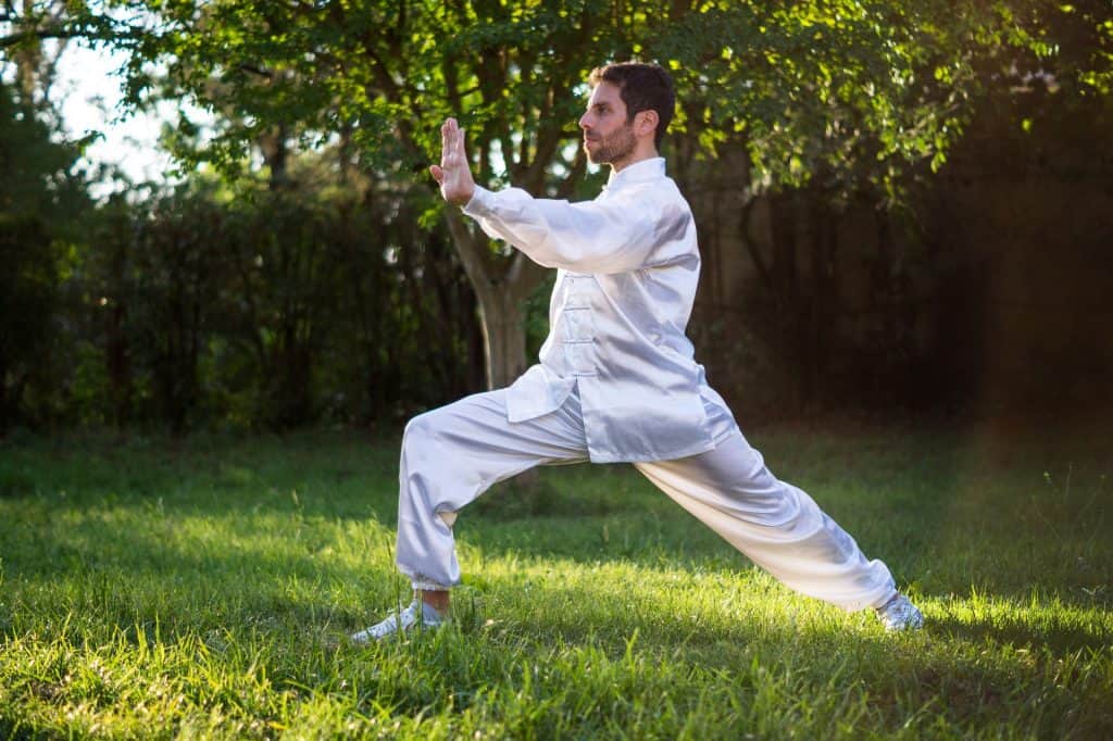 kung fu martial arts health benefits