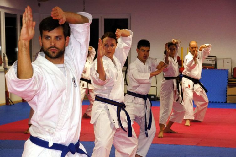 martial arts health benefits