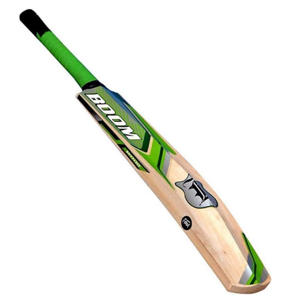 Top 10 Best Cricket Bats In 2022 - Reviews, Comparisons & Buyers Guide