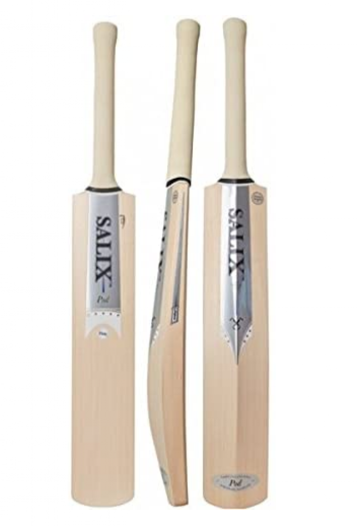 Top 10 Best Cricket Bats in 2022 Reviews, Comparisons & Buyers Guide