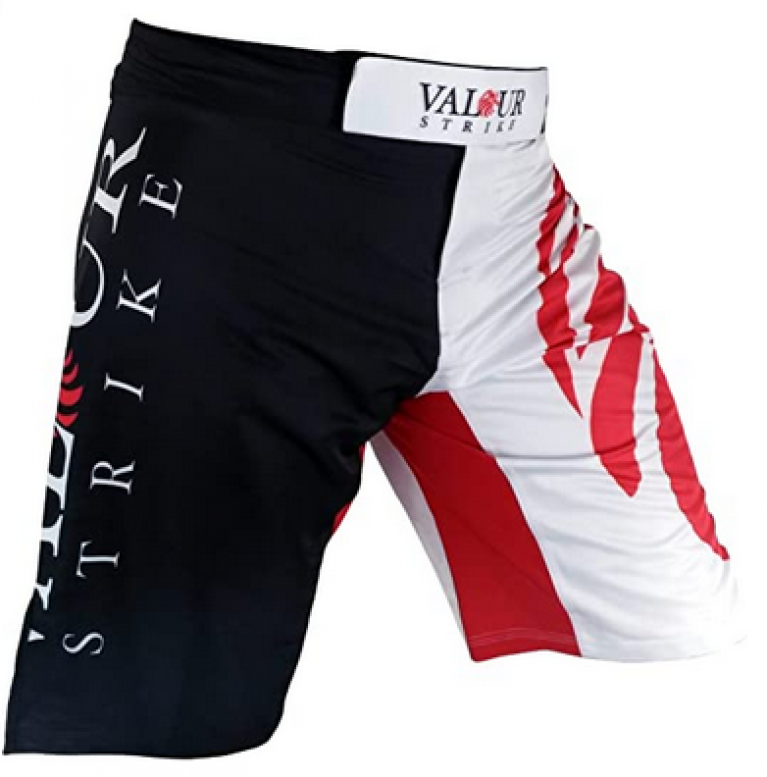 Top 10 Best MMA Shorts For Training - Fitness Fighters