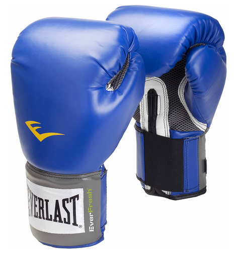 Everlast Pro Style Boxing Training Gloves