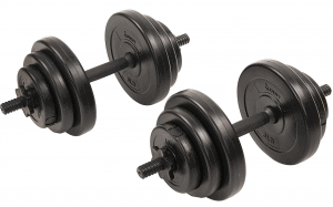 4kg Dumbbells 