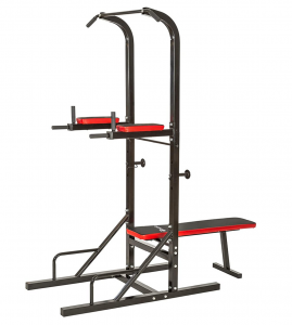 Best pull up dip station