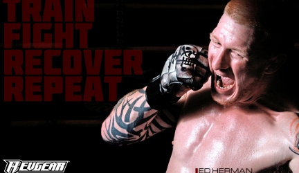 Best MMA Gloves For Heavy Bag