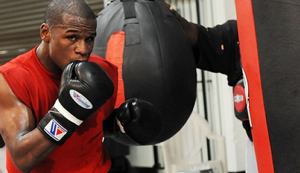 Top 5 Best Uppercut Punch Bags