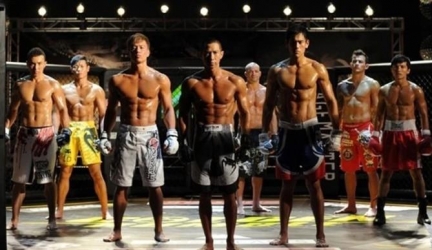 Top 10 Best MMA Fight Shorts – A Fighters Guide